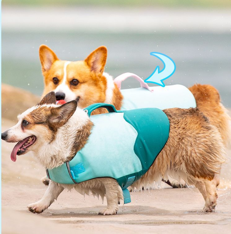 Bouboo All-Season Pet Swimwear