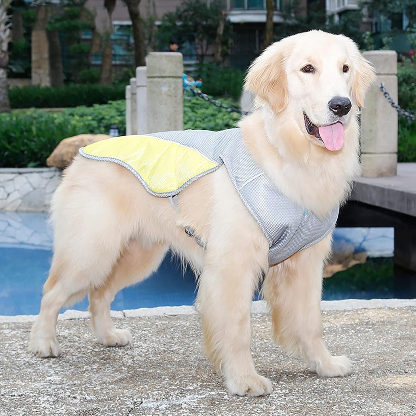 Cooling Vest