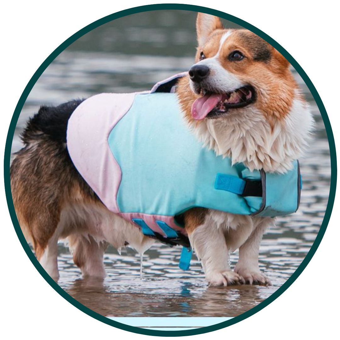 Bouboo All-Season Pet Swimwear