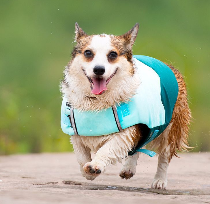 Bouboo All-Season Pet Swimwear