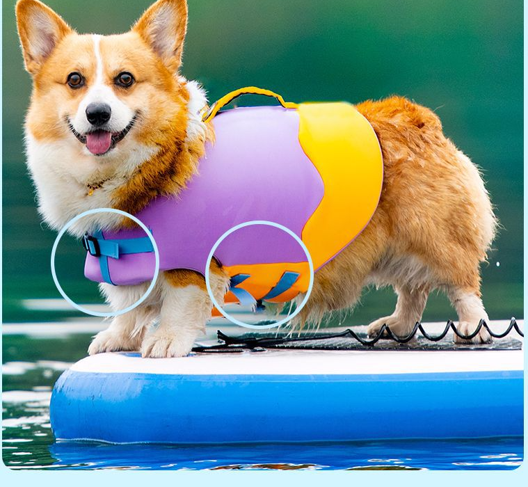 Bouboo All-Season Pet Swimwear