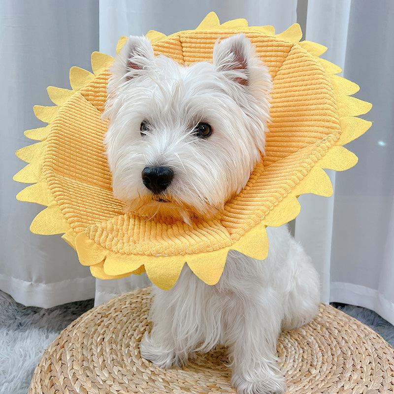 Fancy Dress : Sunflower Head