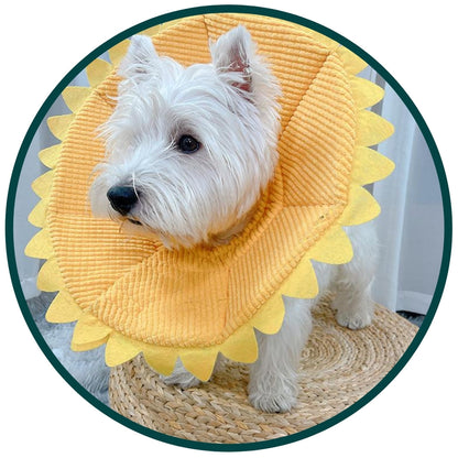Fancy Dress : Sunflower Head
