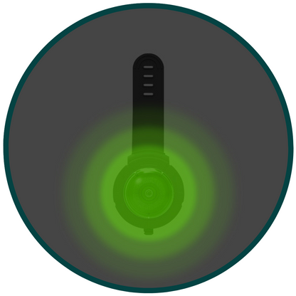 Pet Safety Light