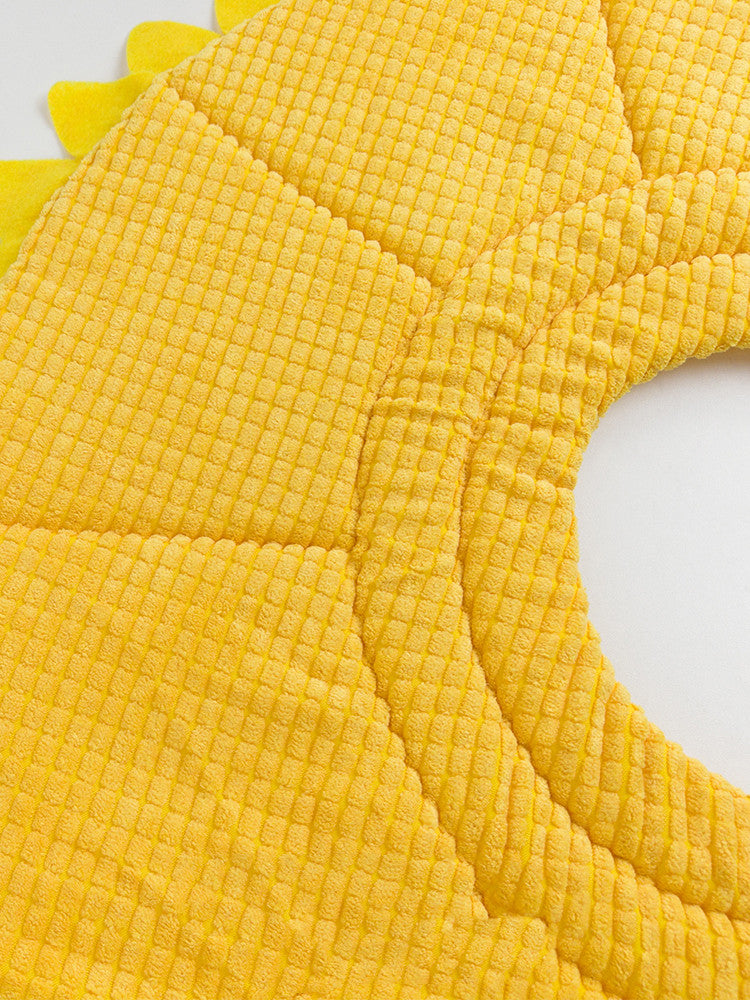 Fancy Dress : Sunflower Head